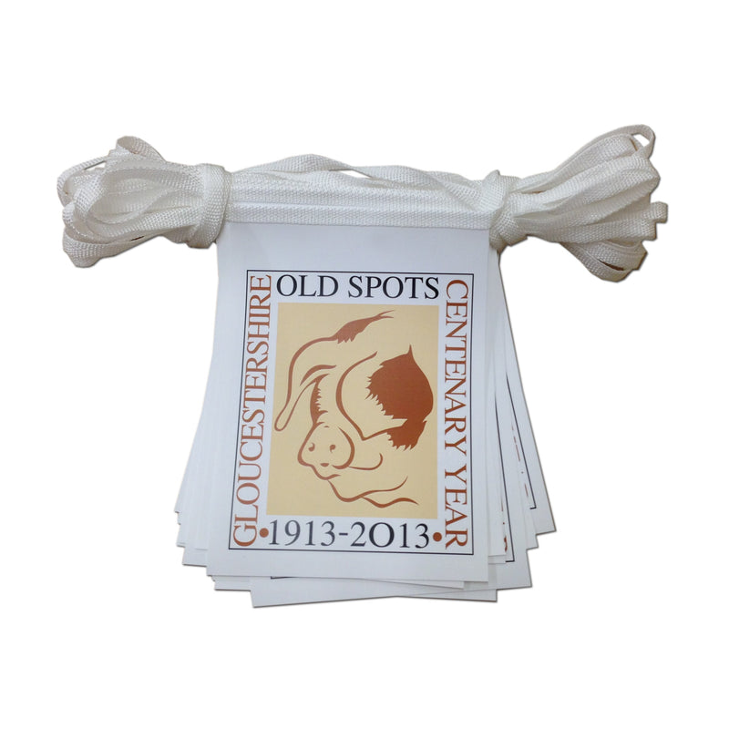 Custom printed A4 rectangular synthetic bunting