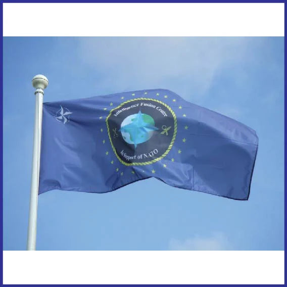 Custom printed flag - 1400mm x 700mm