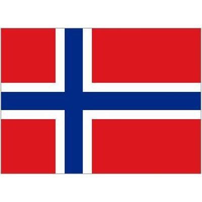 Norwegian Table Flag