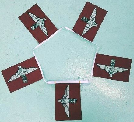 Parachute Regiment Bunting - 6 metres