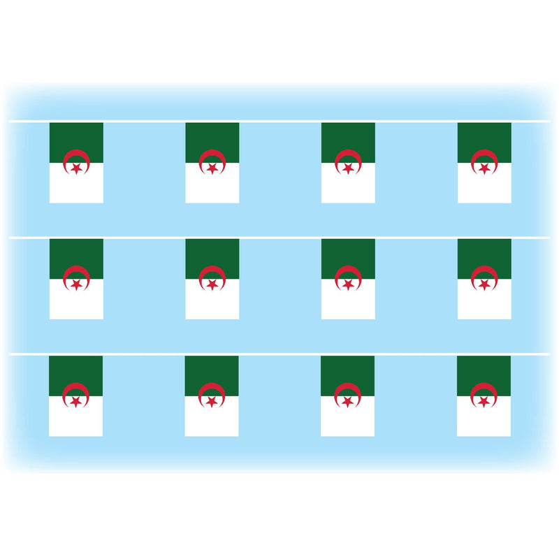 Algeria flag bunting