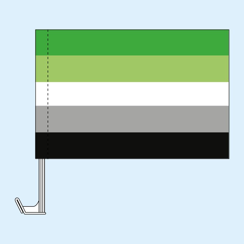 Aromantic Pride Car Flag