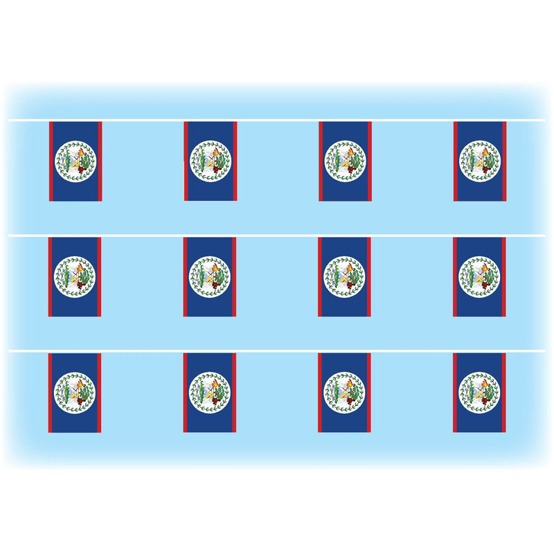 Belize flag bunting