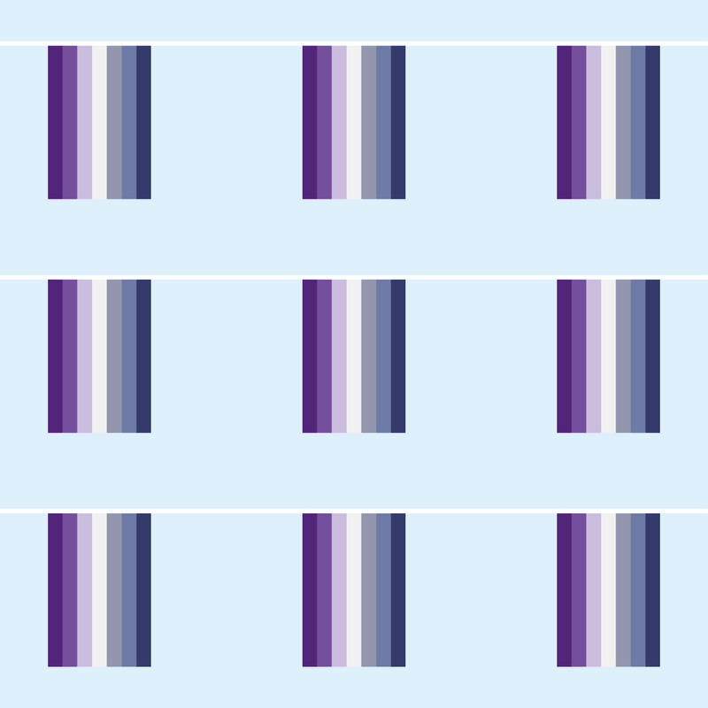 Butch Lesbian Pride Flag Bunting