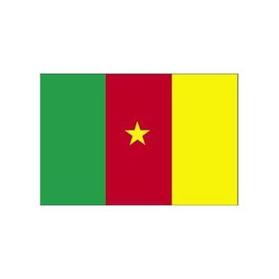 Cameroon Fabric Bunting