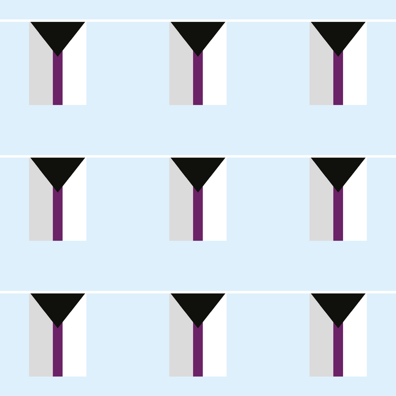 Demisexual Pride Flag Bunting