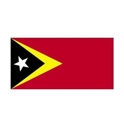 East Timor Fabric Bunting