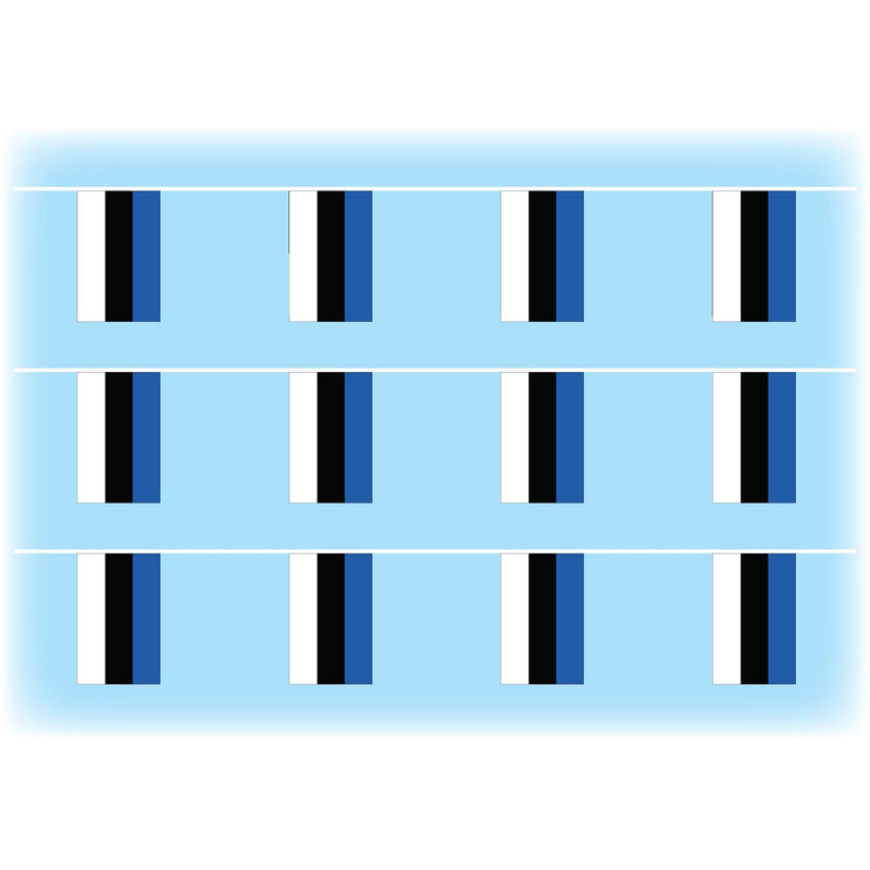 Estonia flag bunting