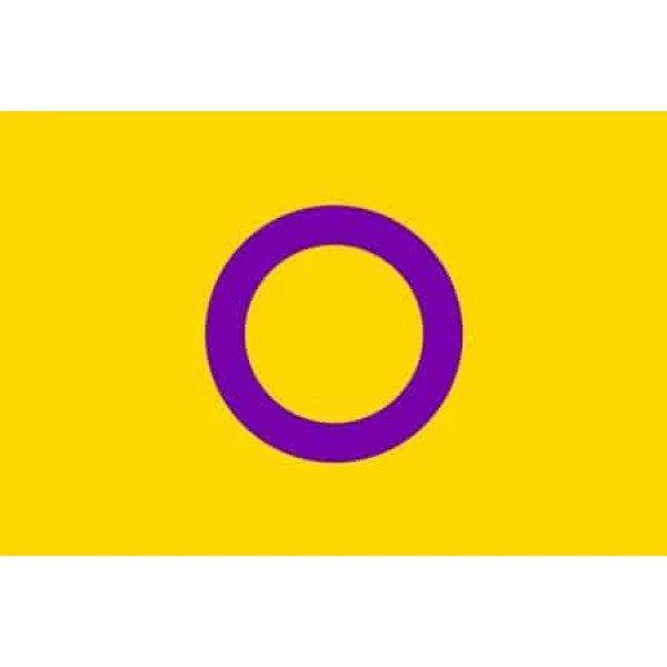 Intersex Flag (LGBTQ+ Pride)
