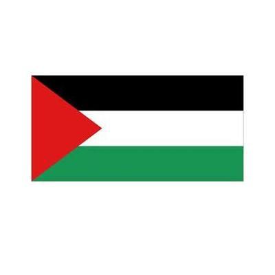 Palestine Fabric Bunting