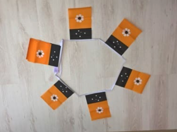 6m 20 Flag Northern Territory Bunting