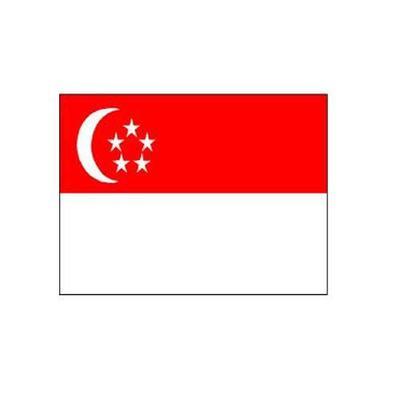 Singapore Fabric Bunting