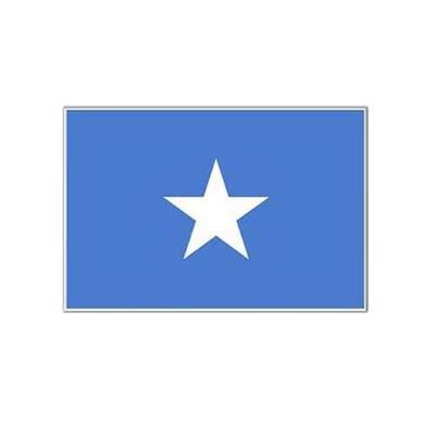 Somalia Fabric Bunting