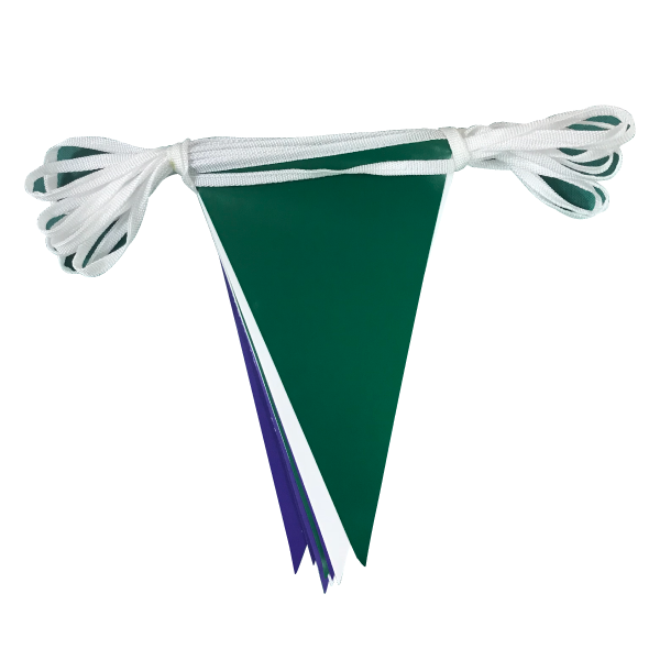 Suffragettes bunting
