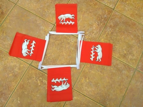 Warwickshire Bunting - 6 metres