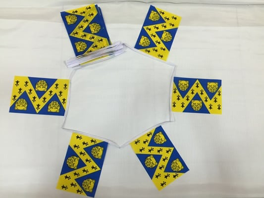 6m 20 Flag Shropshire Bunting