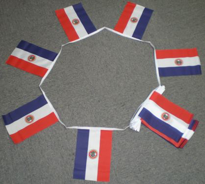 6m 20 Flag Paraguay Bunting