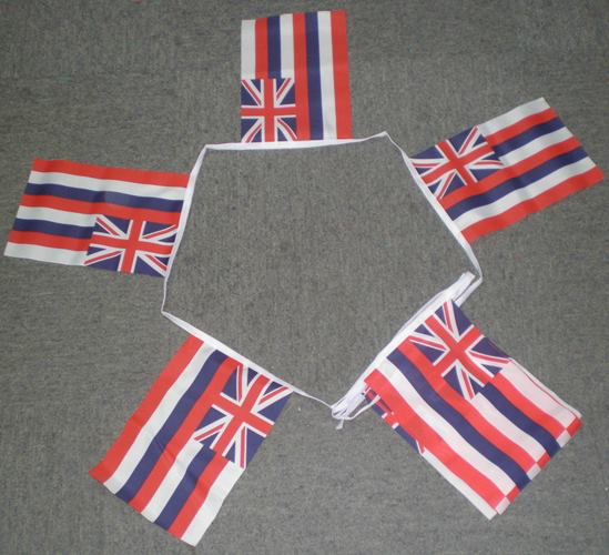 6m 20 Flag Hawaii Bunting
