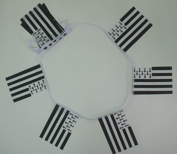 Brittany Bunting - 6 metres