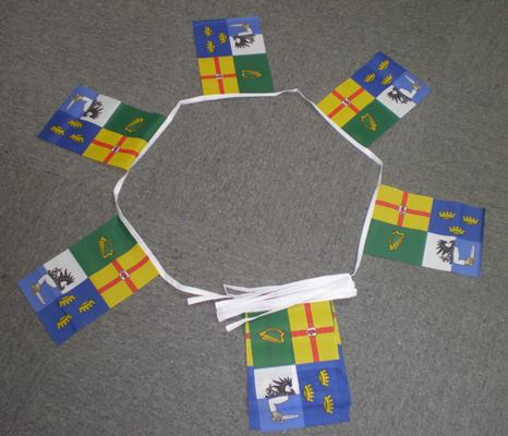 Ireland 4 Provinces bunting - 20 metres