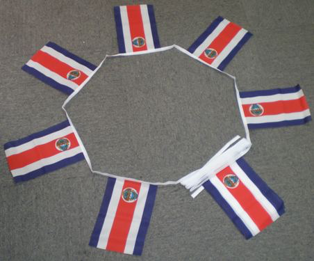 Costa Rica Bunting - 6 metres