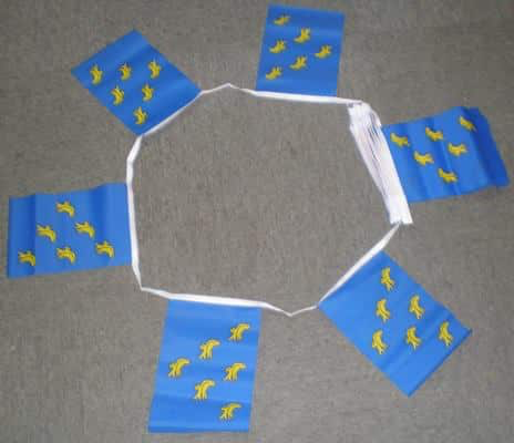 6m 20 Flag Sussex Bunting