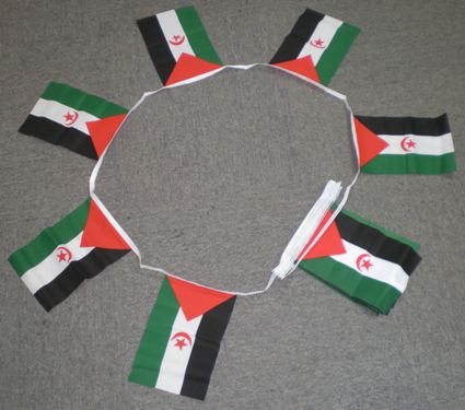 Western Sahara Bunting - 6 metres