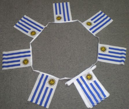 Uruguay bunting - 6 metres