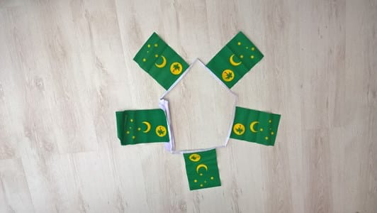 Cocos Keeling Island Bunting - 6 metres