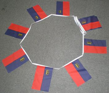 6m 20 Flag Liechtenstein Bunting