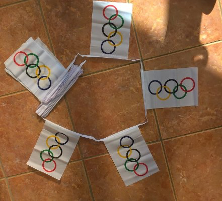 6m 20 Flag Olympic Bunting