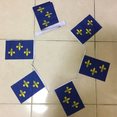 6m 20 Flag Ile De France Bunting