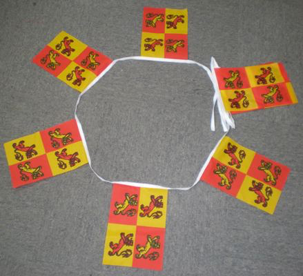 6m 20 Flag Owain Glyndŵr Bunting