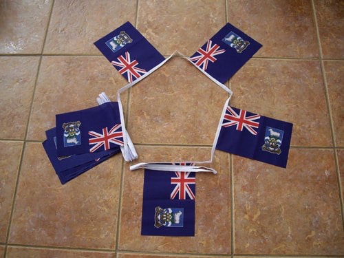 Falklands Bunting - 6 metres