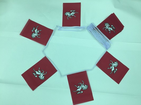 6m 20 Flag Kent Bunting