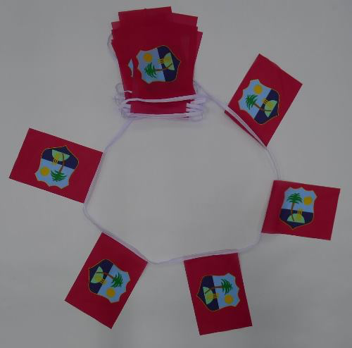 West Indies Bunting - 6 metres