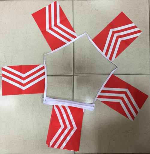 6m 20 Flag Glamorgan Bunting