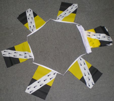 6m 20 Flag Norfolk Bunting