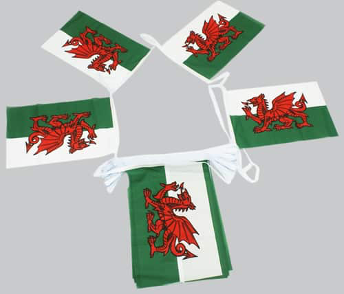 Wales Bunting - 20 metres