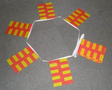 6m 20 Flag Northumberland Bunting