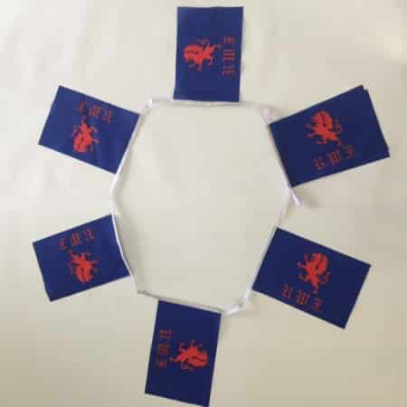 6m 20 Flag Royal Welch Bunting
