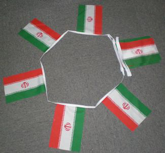 6m 20 Flag Iran Bunting