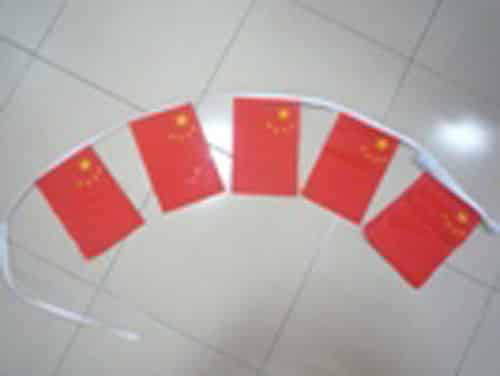 China Bunting - 6 metres