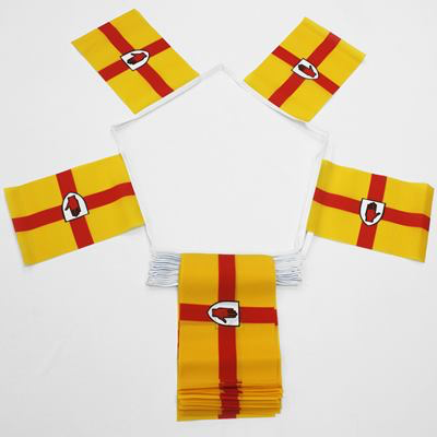 6m 20 Flag Ulster Bunting