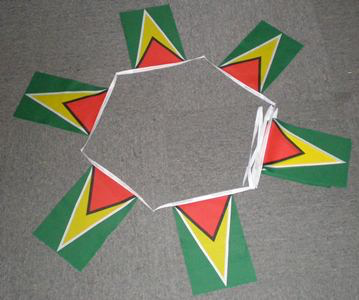 6m 20 Flag Guyana Bunting