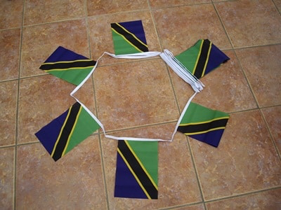 6m 20 Flag Tanzania Bunting