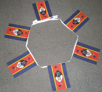 6m 20 Flag Swaziland Bunting