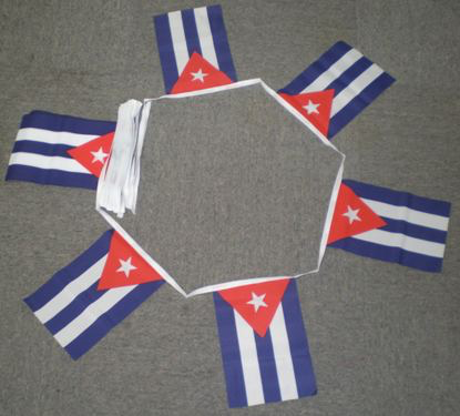 Cuba Bunting - 6 metres