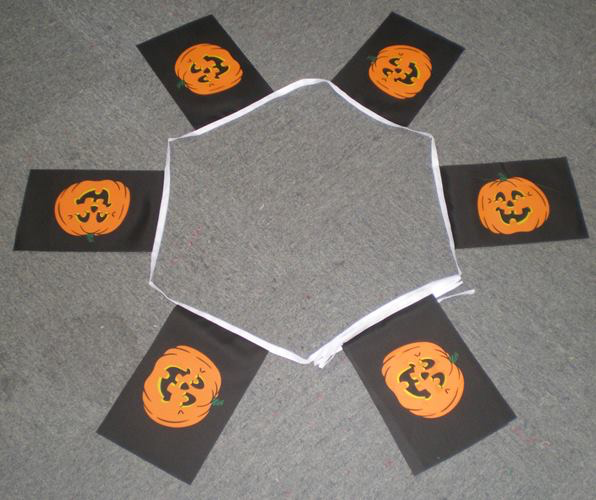 6m 20 Flag Halloween Pumpkin Bunting