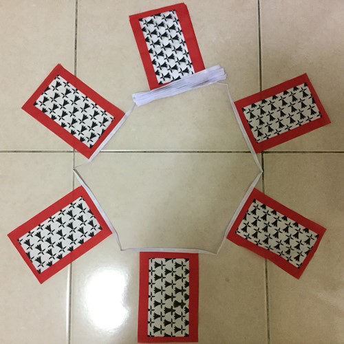 6m 20 Flag Limousin Bunting